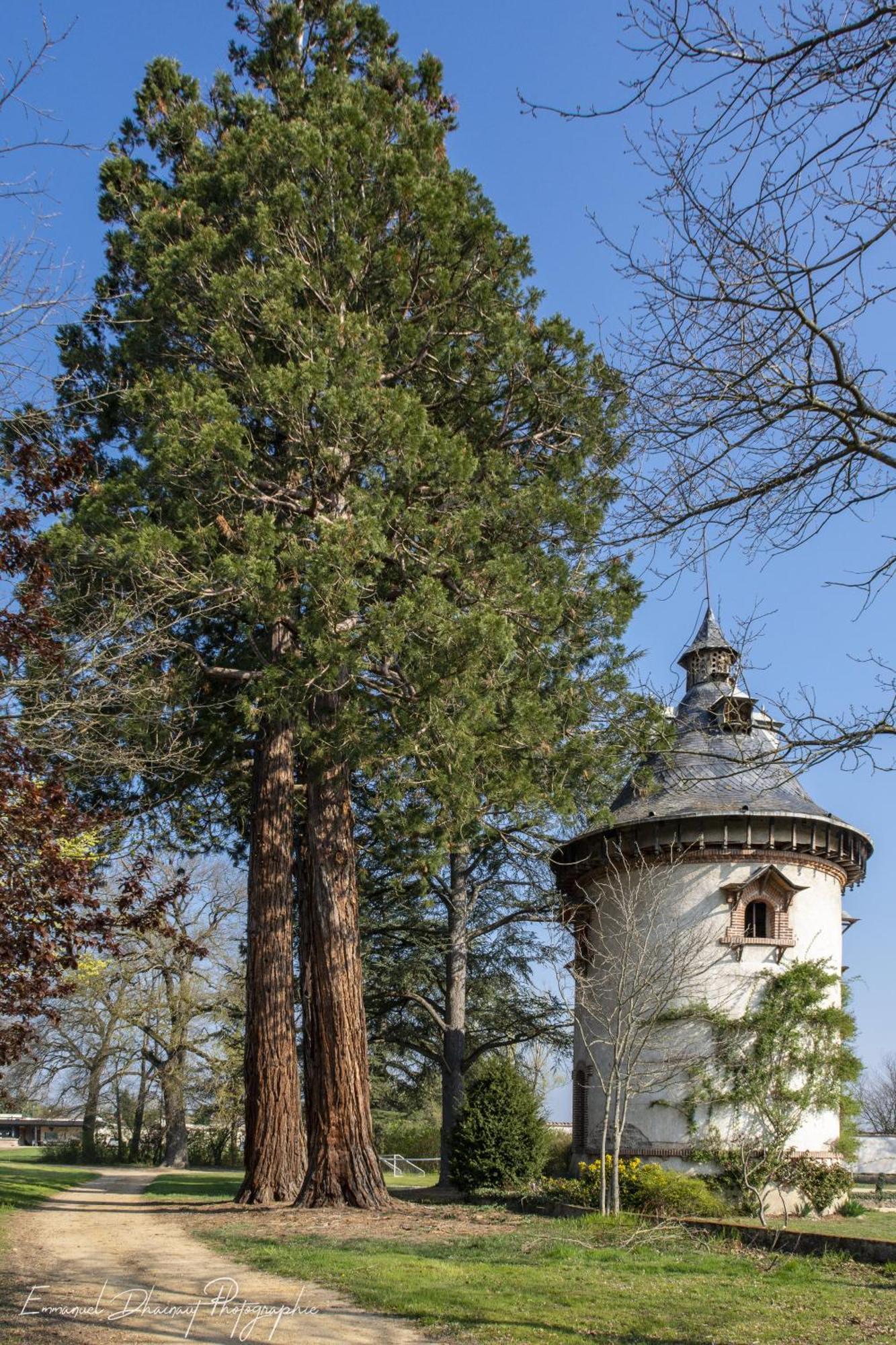 Orangerie De Chatel-Selection Figaro & Elle Magazine Cleppé エクステリア 写真